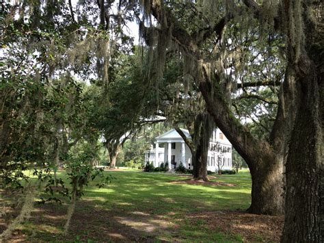 The sprawling estate features a farm, two miles of river frontage. . Murdaugh home on holly street in hampton sc